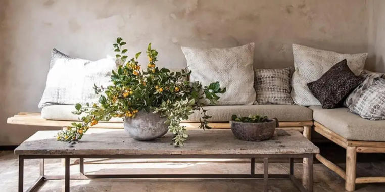 Best Plants for Coffee Table Decoration